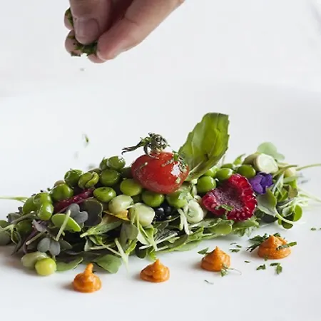 Ξενοδοχείο Grevol 4*